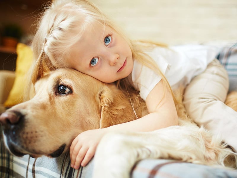 Rubbing and leaning against their owners is something many people more closely associate with cats, but dogs do it too. It's a way of gaining attention and comfort from the ones they love.
