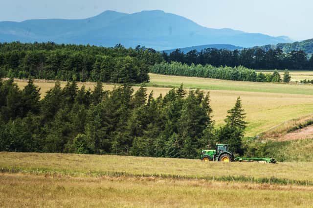 The market for farms and land is showing very positive signs of recovery, says Ritchie. Picture: Phil Wilkinson.