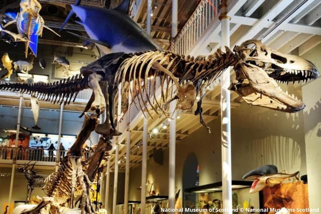 Go wild in Scotland's museums and galleries - find your favourite on the interactive map