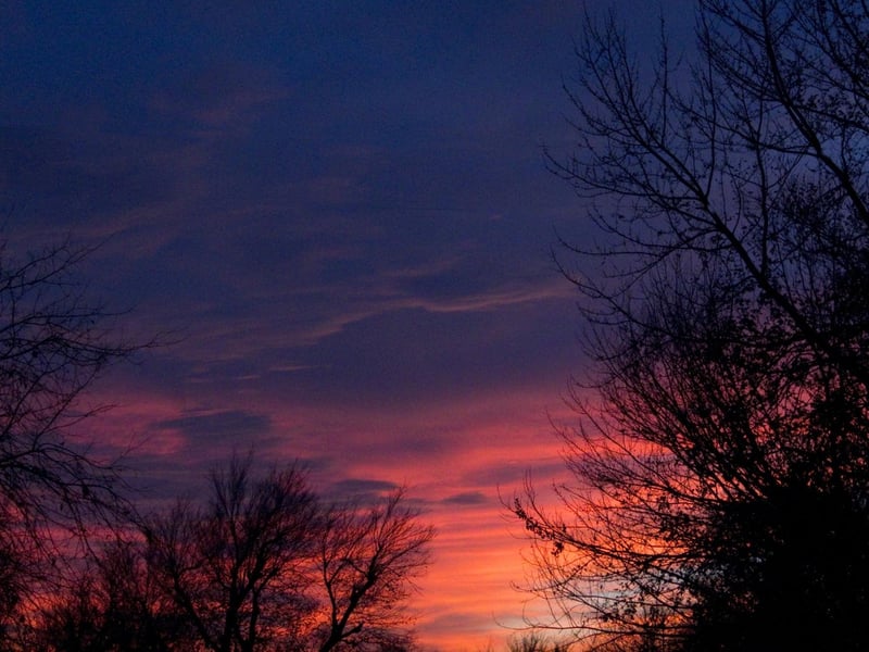 The Dictionary of the Scots Language says that “gloamin” refers to “evening twilight/dusk”. Visit Scotland adds that if a Doric speaker is talking about a “bonny gloamin” they’re talking about a pretty sunset.