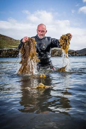 Lewis Mackenzie Pic: Laurence Winram