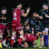 Glasgow Warriors' Scott Cummings celebrates winning the scrum while Scarlets' Aaron Shingler despairs during the match at Scotstoun.