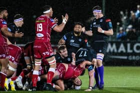 Glasgow Warriors' Scott Cummings celebrates winning the scrum while Scarlets' Aaron Shingler despairs during the match at Scotstoun.