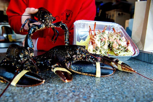 The finest lobsters, fresh landed and served up.