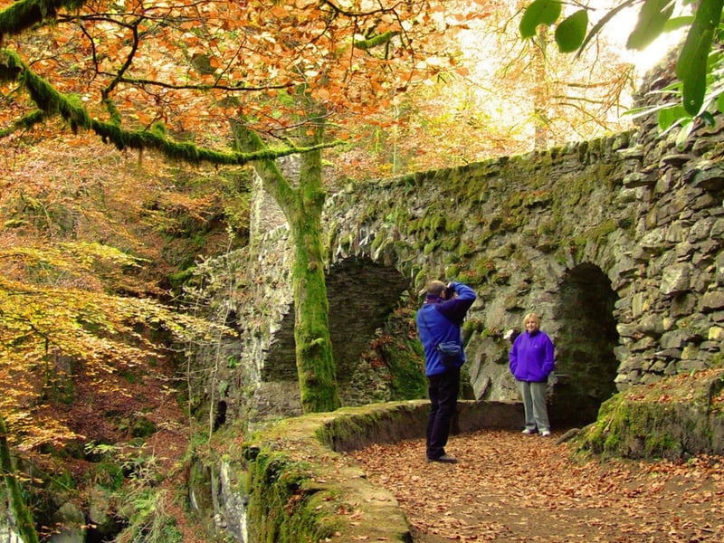 Dunkeld and Birnam are linked by a seven-arched bridge built by Thomas Telford. Surrounded by the picturesque Perthshire countryside, the two form a historic town with lovely walks, restaurants, and an upbeat music scene.