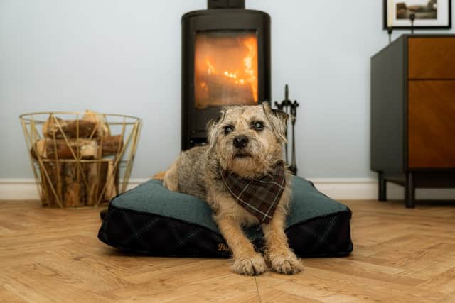 Kiltmaker Kinloch Anderson has launched a new range of bespoke tartan and tweed pet accessories, created to be both practical and environmentally friendly