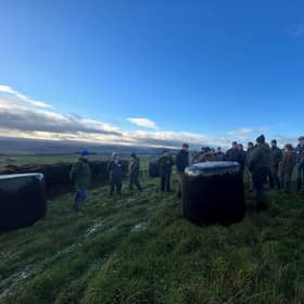 Duncan Morrison discusses his outwintering bale grazing at Meikle Maldron.