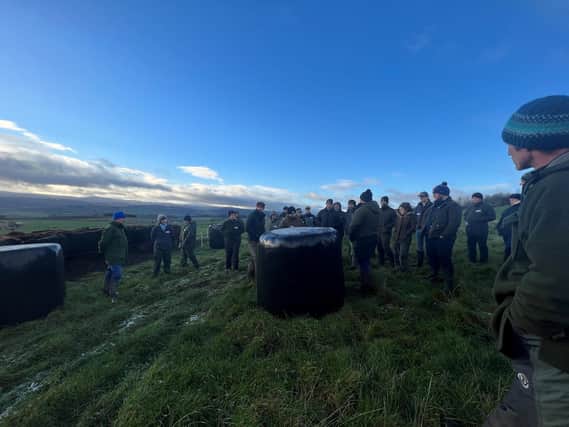 Duncan Morrison discusses his outwintering bale grazing at Meikle Maldron.