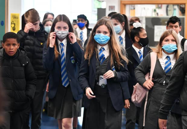 Pupils are at risk at missing out on counselling services, the Liberal Democrats have said.