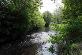 An award-winning project based in Fife has set out plans to create an accessible, attractive and biodiverse public park for local communities around a previously industrialised stretch of the River Leven, including proposals for six themed gardens, an accessible path network and riverside walkway