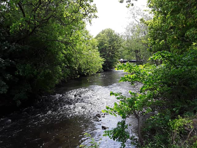An award-winning project based in Fife has set out plans to create an accessible, attractive and biodiverse public park for local communities around a previously industrialised stretch of the River Leven, including proposals for six themed gardens, an accessible path network and riverside walkway