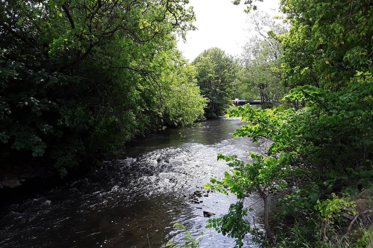 Sustainable Scotland: How transformation of brownfield land can benefit local communities and the environment