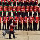 The British Army may look impressive but does it have enough soldiers and modern equipment? (Picture: Jeff J Mitchell/PA Wire)