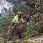 SSEN continue to work on clearing damage caused by Storm Arwen as thousands of Scots are still without power.