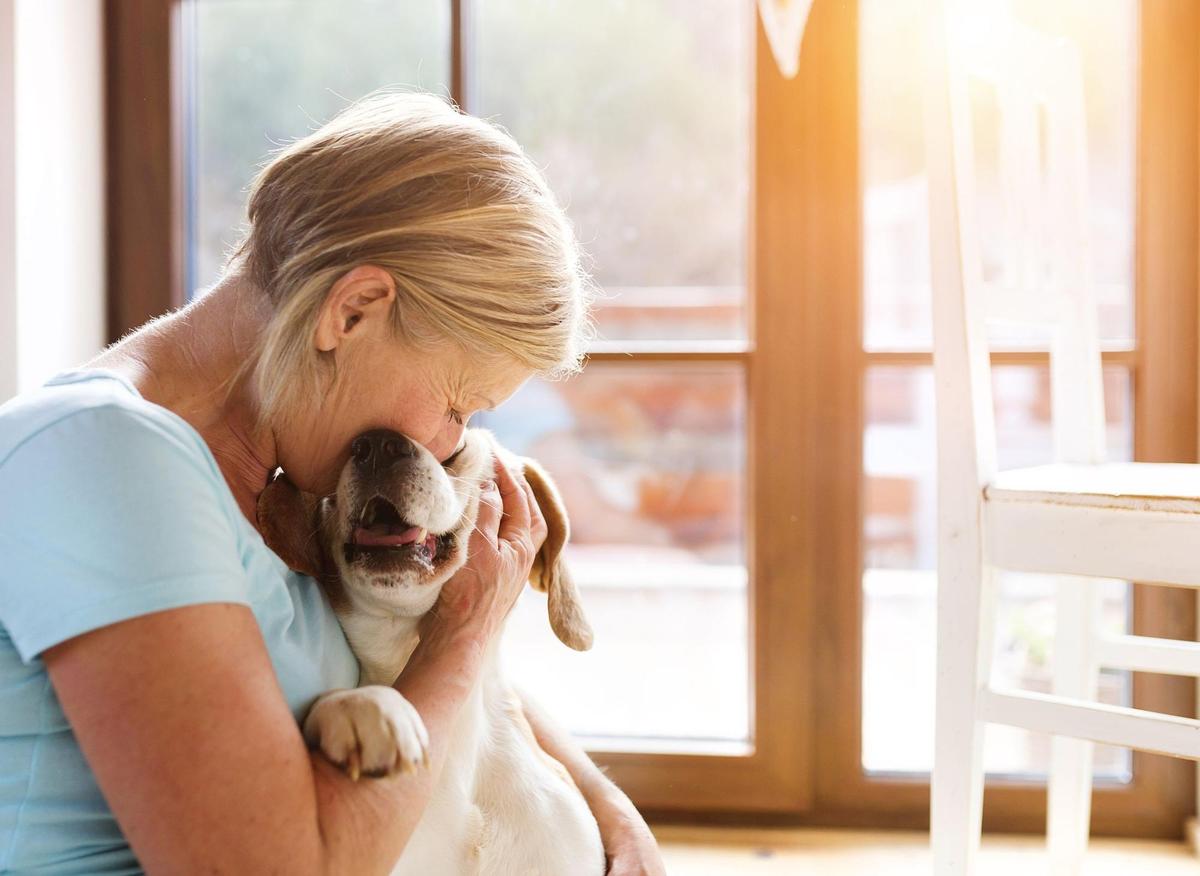 Dogs For The Elderly These are the 10 breeds of adorable dog perfect