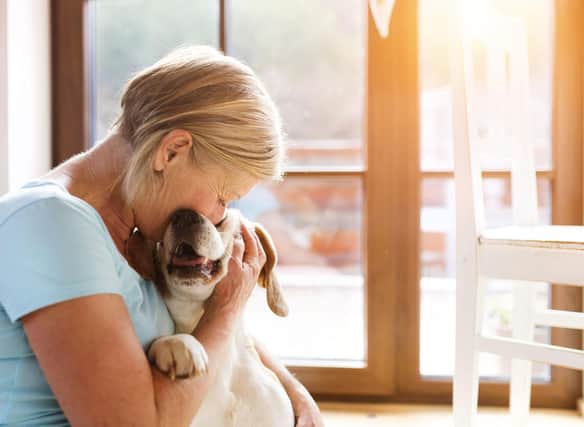 These are the breeds of puppy that are perfect for the more mature dog owner.