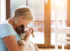 These are the breeds of puppy that are perfect for the more mature dog owner.