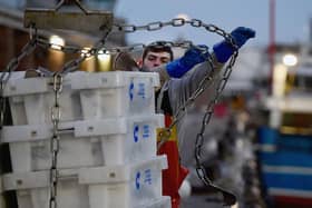 Fisherman at Peterhead Fish Market.