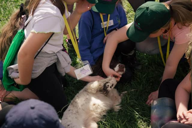 Children meeting some of the keepers dogs during an Estates that Educate day in the Angus Glens (pic: Kirk Norbury)