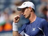 Andy Murray celebrates winning a point in the US Open first round win over Francisco Cerundolo. (Photo by Sarah Stier/Getty Images)