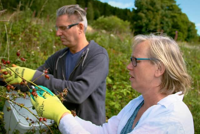 Highland Boundary founders Dr Marian Bruce and husband Simon Montador use only botanicals which have been hand-picked in the local area to make their unique spirits and liqueurs