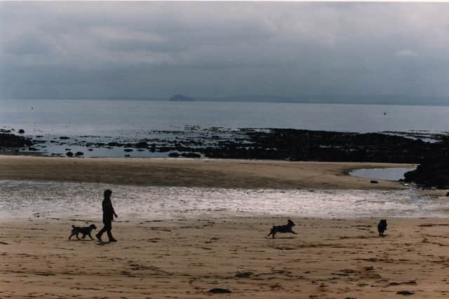 Here are the most dog friendly attractions, pubs and beaches in Scotland