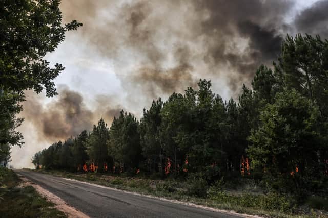 A forest fire near Louchats in Gironde, southwestern France last month (Picture: Thibaud Moritz/AFP via Getty Images)