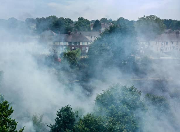 Smoke from wildfires, like this one in Sheffield, is just one way that climate change can make air pollution worse (Picture: Christopher Furlong/Getty Images)