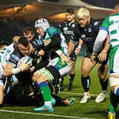 Glasgow Warriors' Jack Dempsey scores his side's second try.