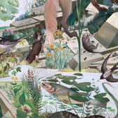 The Scottish Wildlife Mural by Alasdair Gray which could soon be recognised with listed status
Pic: HES