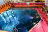 Nuclear reactors are too expensive and take too long to build (Picture: Philippe Desmazes/AFP via Getty Images)