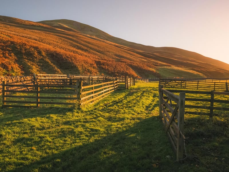 This trail covers 35 square miles of natural beauty and can be found south-west of Edinburgh. The countryside and paths are considered ‘challenging’ by many as they offer a difficult yet rewarding trail for hiking, mountain biking, orienteering and even horseback riding. Given how expansive the location is you’re also unlikely to encounter other hikers during your visit (introverts take note!)