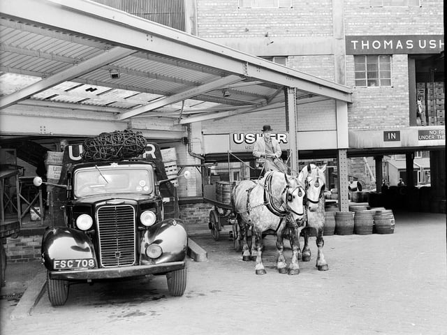 Usher's Brewery's Grey Percheron horses  pulling  a dray delivering beer to a bar in George Street in May 1960.