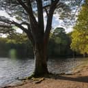 Inchconnachan was once the holiday home of speedboat-racing aristocrat Fiona Gore, Countess of Arran, who introduced a population of non-native wallabies that still roam free across the island