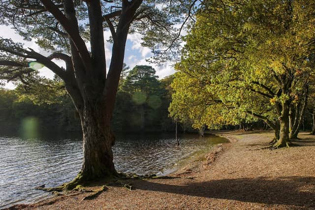 Inchconnachan was once the holiday home of speedboat-racing aristocrat Fiona Gore, Countess of Arran, who introduced a population of non-native wallabies that still roam free across the island