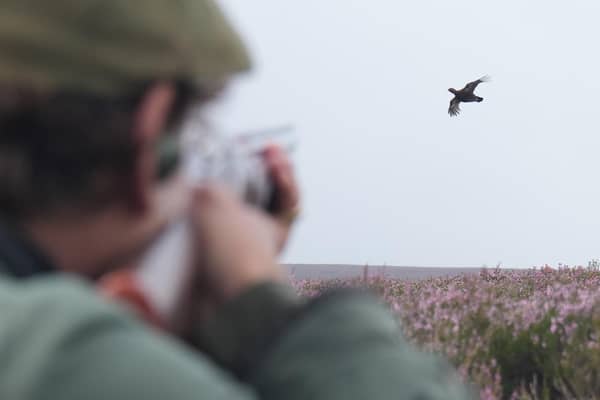 Nearly 400 businesses have joined together to urge the Scottish Government to rethink "disastrous" plans to licence grouse shooting
