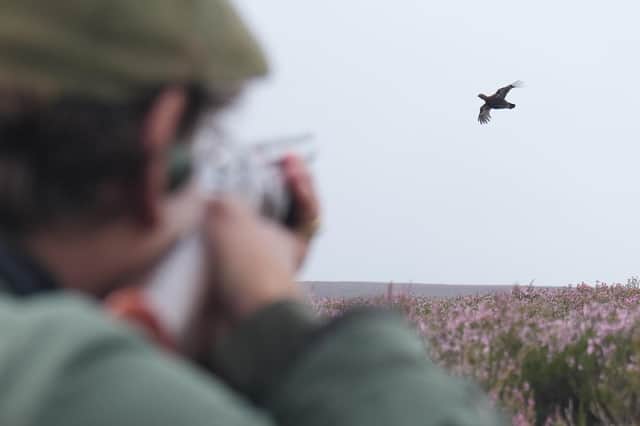Nearly 400 businesses have joined together to urge the Scottish Government to rethink "disastrous" plans to licence grouse shooting