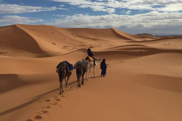 Camel trekking across The Sahara.