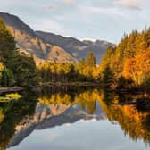 Edinburgh University will plant thousands of trees