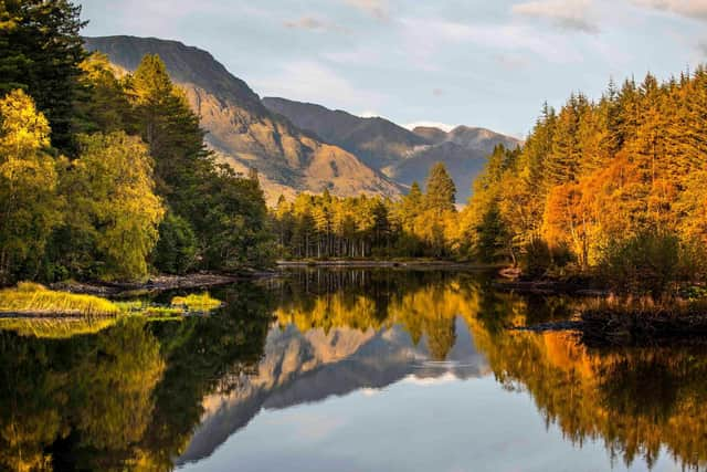 Edinburgh University will plant thousands of trees