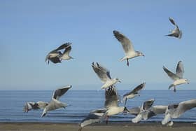 Visitors and locals are urged to follow safety advice while visiting the region's coastline.