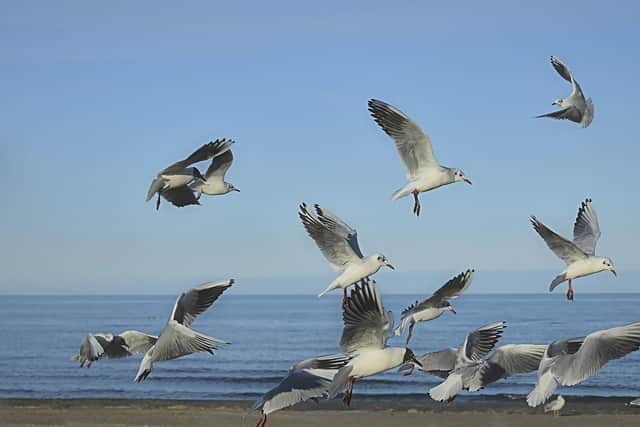 Visitors and locals are urged to follow safety advice while visiting the region's coastline.