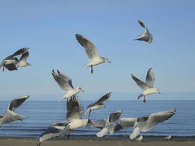 Visitors and locals are urged to follow safety advice while visiting the region's coastline.