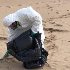 More than 1,000 birds have now been collected and safely disposed of