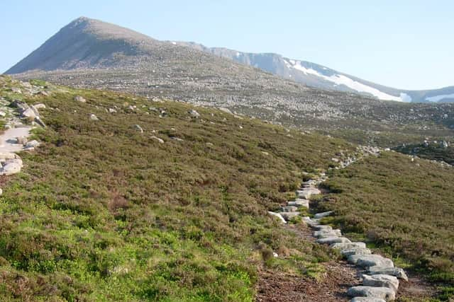 The Cairngorms National Park will be playing host to the Green Space Dark Skies in August. Picture: Will Boyd Wallis