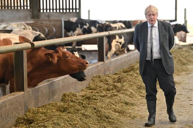 Boris Johnson may have lost the faith of farmers (Picture: Paul Ellis/Getty)