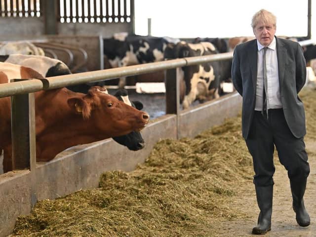 Boris Johnson may have lost the faith of farmers (Picture: Paul Ellis/Getty)