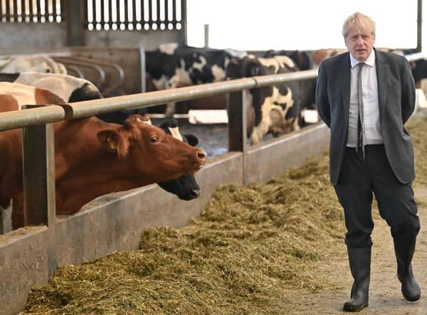 Boris Johnson may have lost the faith of farmers (Picture: Paul Ellis/Getty)