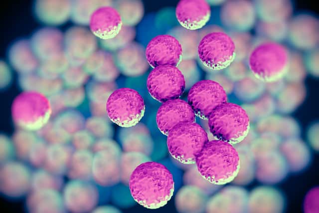 Superbugs such as MRSA pose a serious risk to health due to the difficulty in treating them with regular antibiotic medicines. Picture: Getty Images
