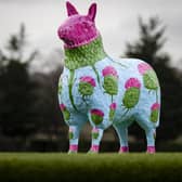 Woolly Thistle by Billy Hutchison sponsored by The Scotsman
